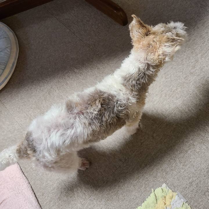 80b00bd6 1d3d 49ab 9633 09b2a54d5df7 1656838707203