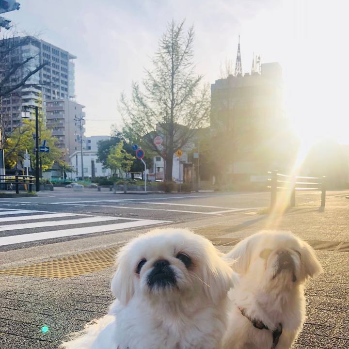 80b02423 0c72 44a1 a3bb 91d7562fed1d 1586918797664