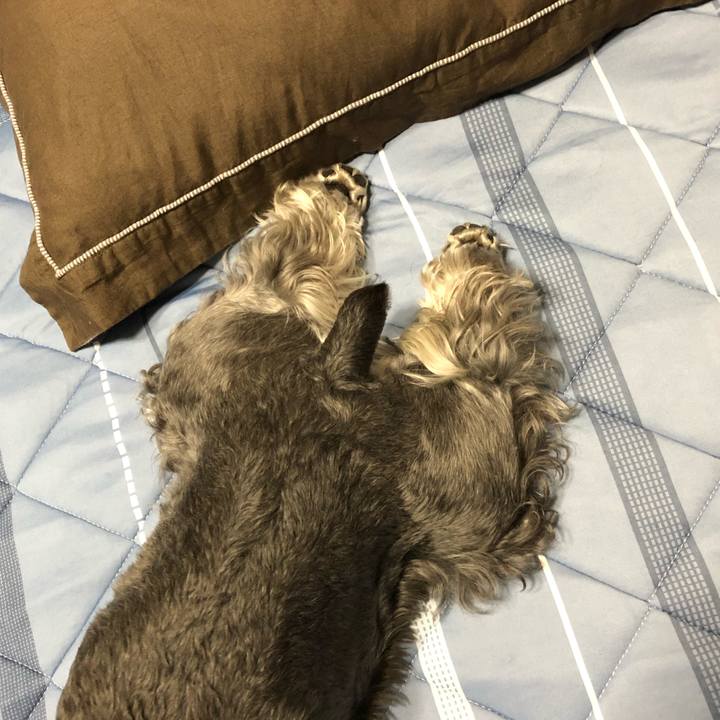 80b02756 2c43 4ae1 8956 12527c752228 1663332730621