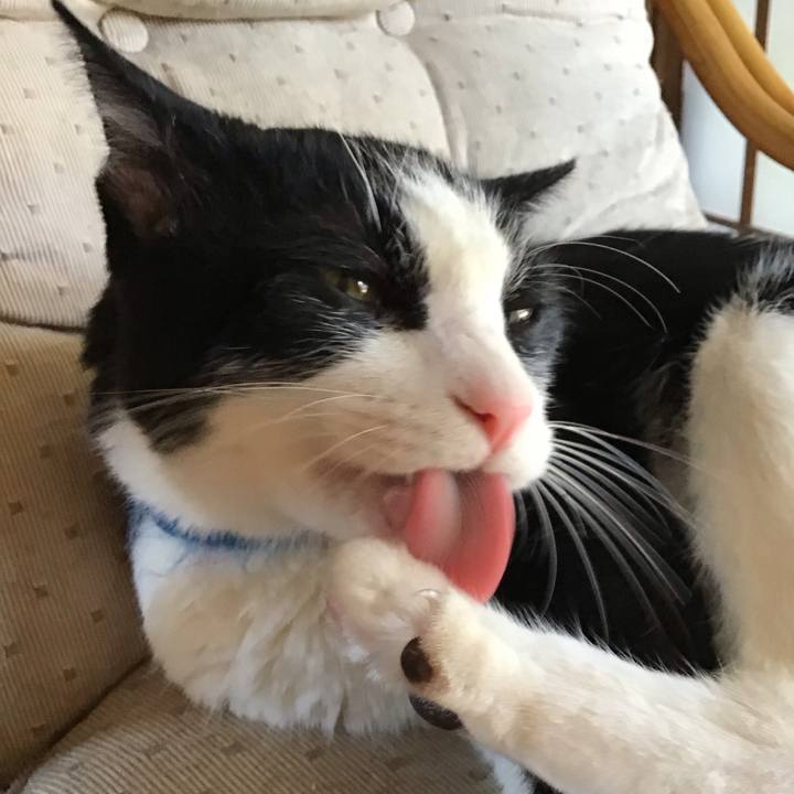 80b053af 49da 467d abed a18bb8ec5ce2 1753865773019