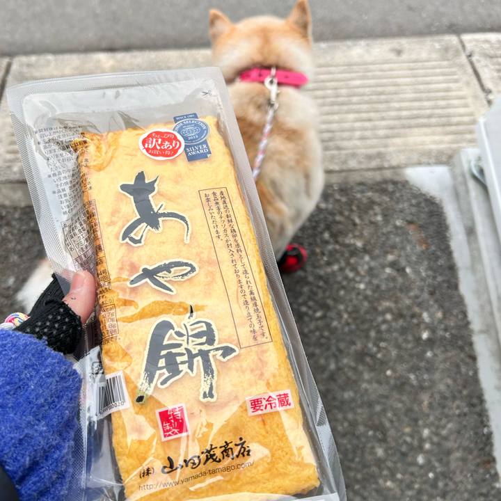 80b089dc 14bb 48a1 9014 1bb0e6ea0ddf 1741064397620