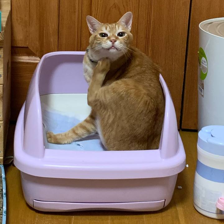 80b09aa3 d46f 4fb1 b76d 8a5c86844508 1581543207192