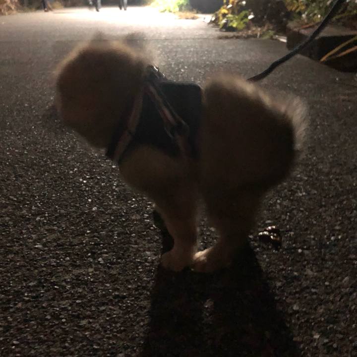 80b0a7fa 4aa5 4418 a3ea 896b33fb1620 1574850059096