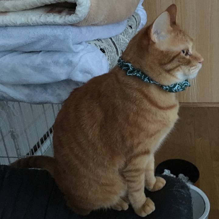 80b0c2c3 e81f 42be 9df9 6e2c7e575549 1548626512677