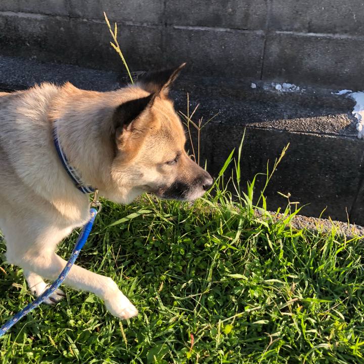 80b0d99d 6ccd 49c5 9a14 42f02d0a47a8 1601293956286