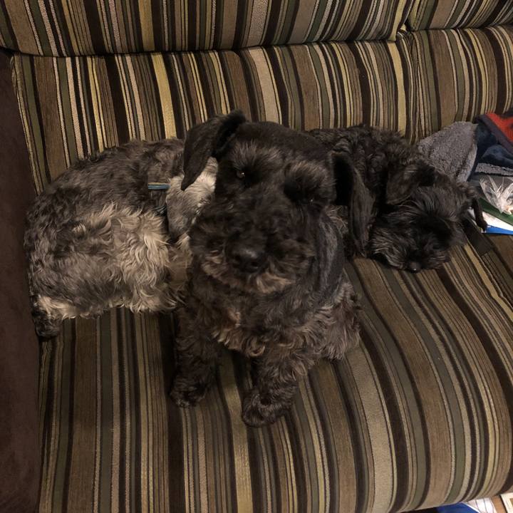 80b0f34a 174c 4858 9d0c 65b523579824 1554215799948