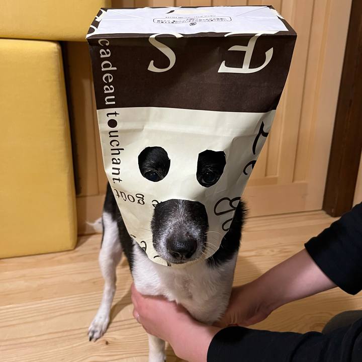 80b10359 c309 4429 829d 09bf33c2f058 1649938788609