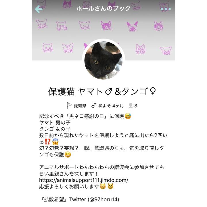 80b12970 ea33 4eca 8e82 3cf55659a6a4 1537540505350