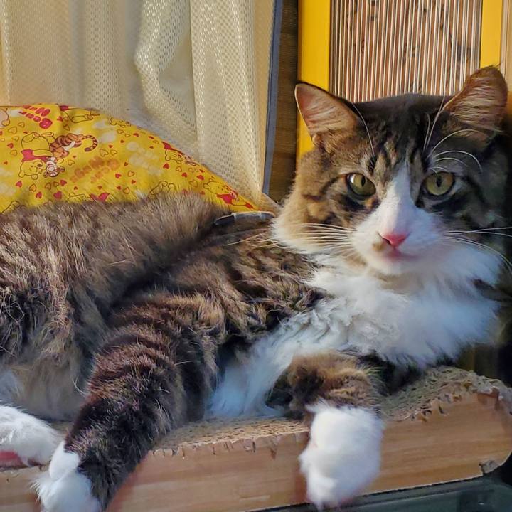 80b14a14 ab9c 42e4 b65c c1c8c0177dec 1696306339117