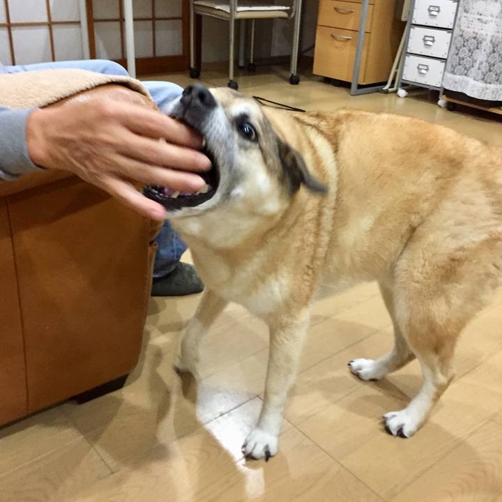 80b1764e 647a 4de1 a9d5 ef6ba728734a 1571489040845