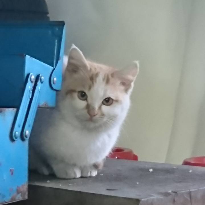 80b18e46 b485 4741 ace4 f563d3935ee3 1548368099172