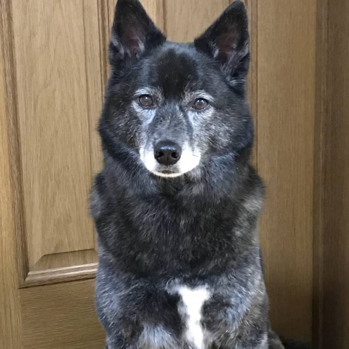 80b191ba d410 40ed 8d9f 9468603b0593 1521721417392