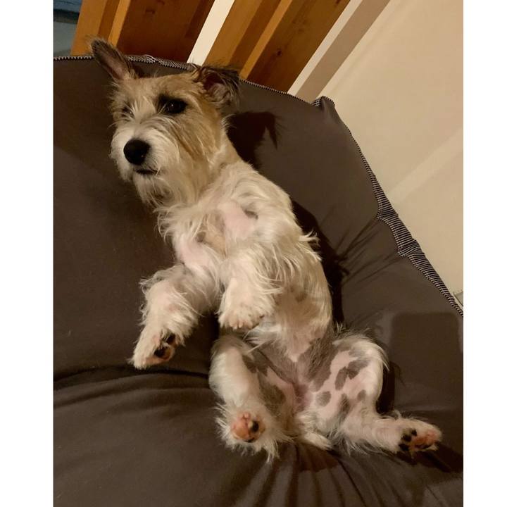 80b19ba9 8ade 49f4 87a0 b43905fbcf2c 1665236578200