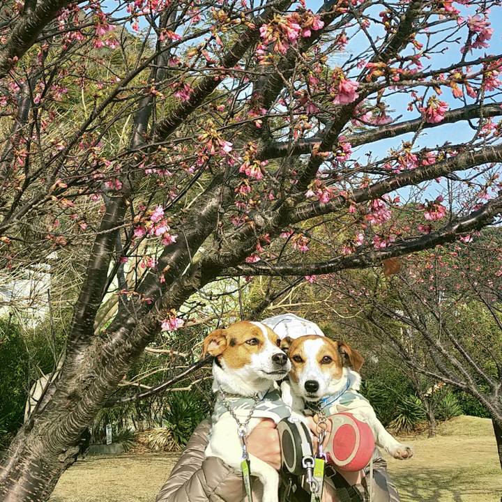 80b1a992 8a70 43f3 a303 1991ee94681b 1768464665547