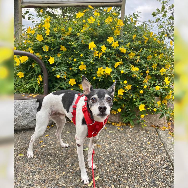 80b1bc73 95cb 4408 87f5 f13d5e736adc 1621642433809