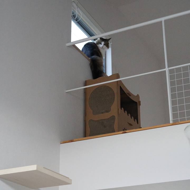 80b1ce82 92eb 4611 af38 3c5e490c35a5 1579213311998