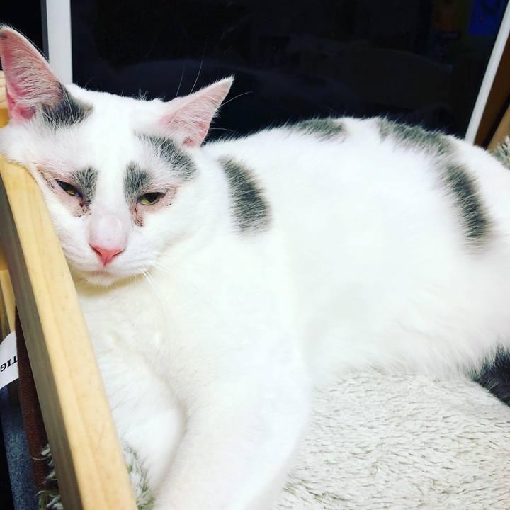 80b1e985 3053 4a34 87a8 1caf4520fe1b 1519290111057