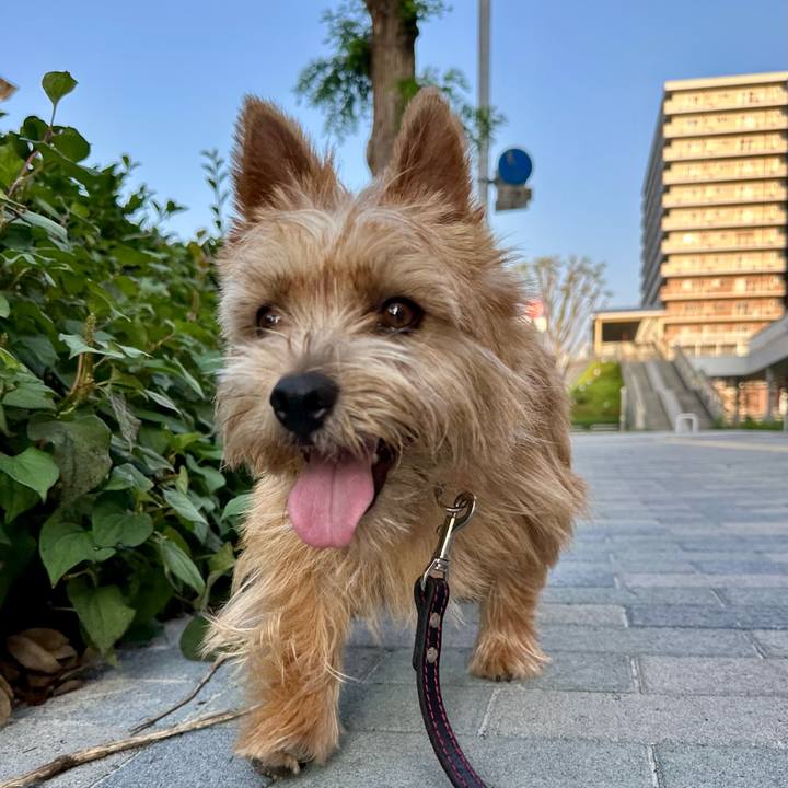 80b20b81 12cd 40d5 a644 0847d5d61a5e 1751175657079