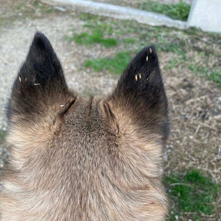 80b30aaf 9049 43ff 8688 055571081e60 1676895535133