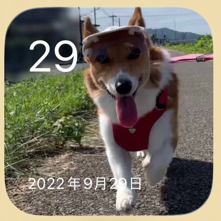 80b31476 4f9c 4fa3 9aca 09639216f09f 1790681708524