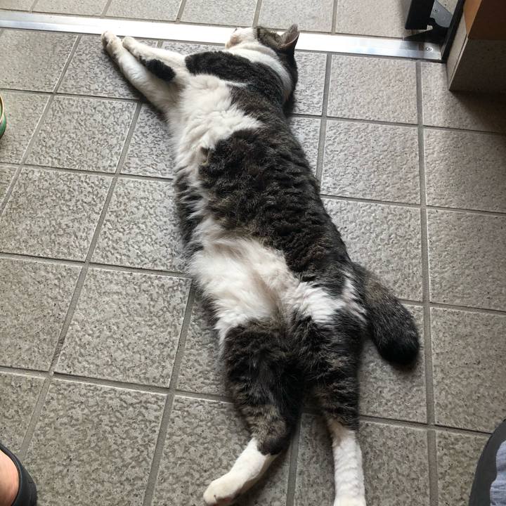 80b331e5 022c 472d 98bc 3989f8eb6a51 1532085363899