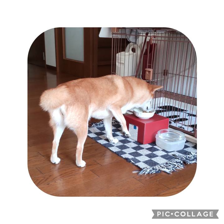 80b3438d a8b3 4e29 b9d1 e7d3edae41eb 1697941992280