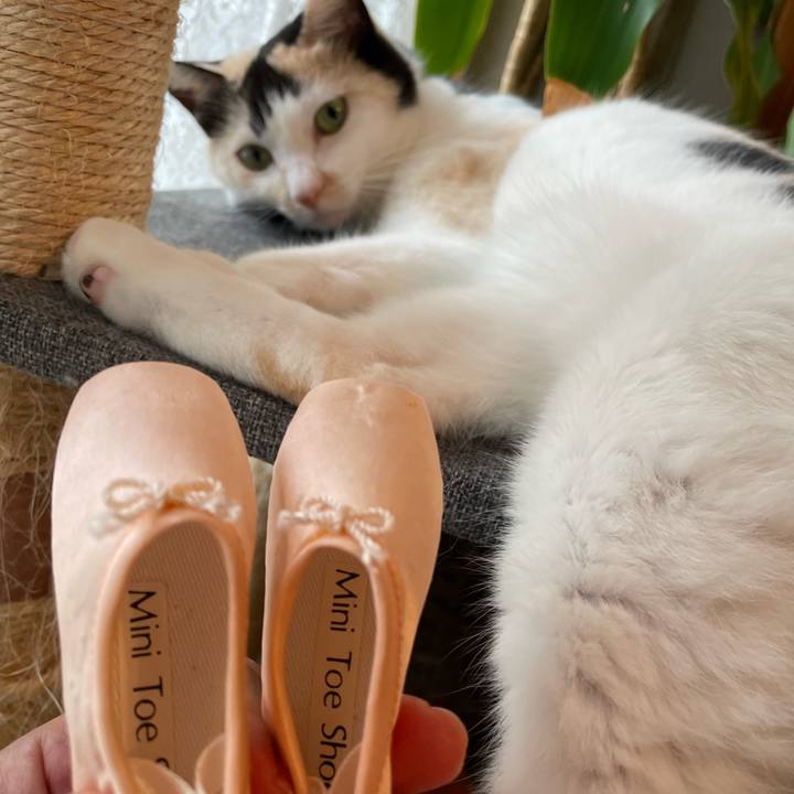 80b34447 510d 4758 90dd c11728b789cc 1755302646570