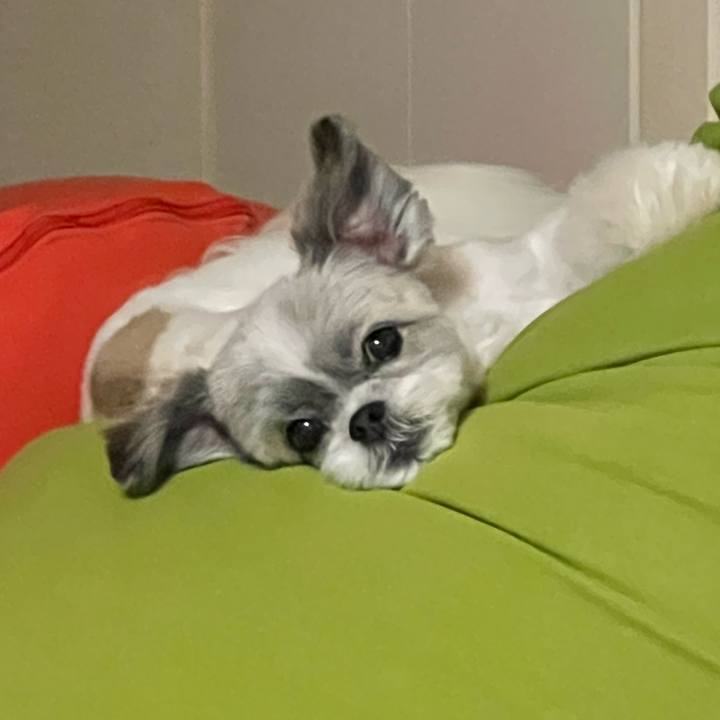 80b35918 fb89 4474 9e22 93a17ac96ef1 1719555736945