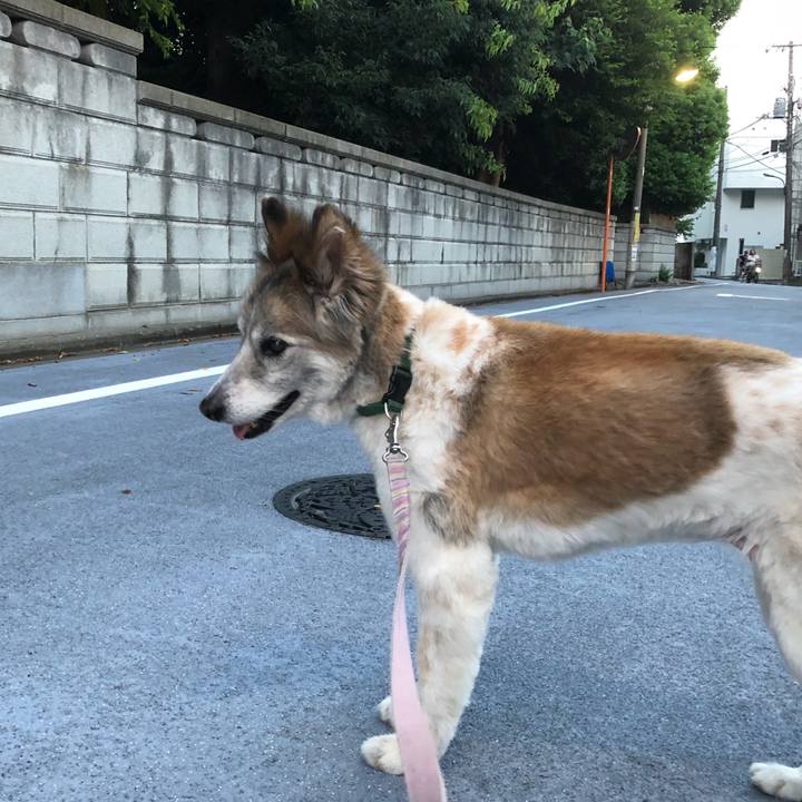 80b391bf 3811 43c8 a76e 402a48458f4e 1533290139413