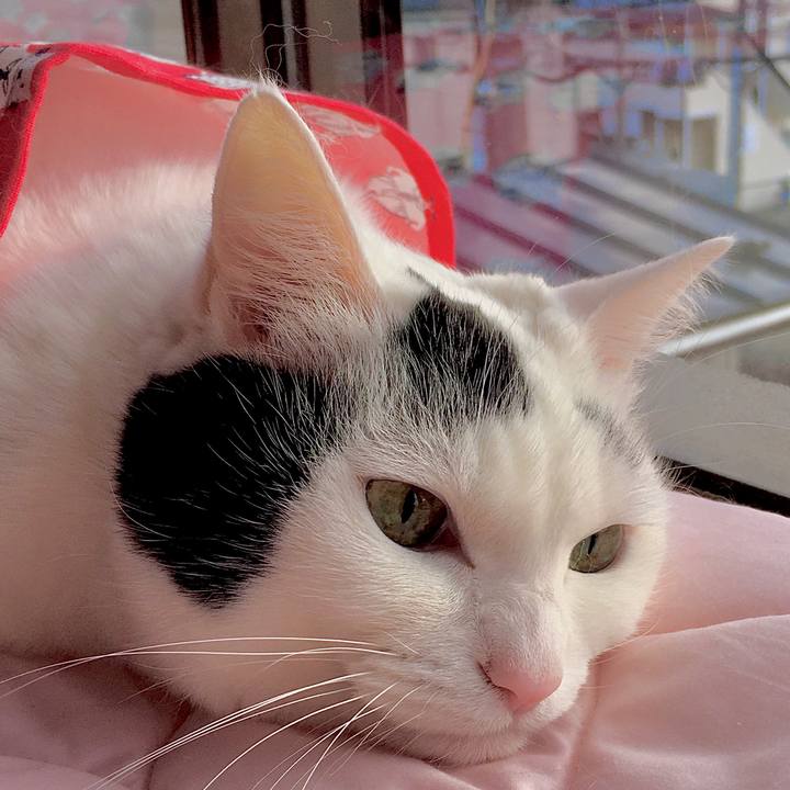 80b3a1eb c152 45e3 a5e2 fc1df8225400 1579505112454