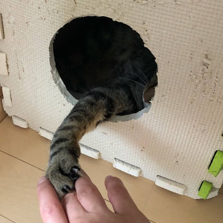 80b3a24b 297d 47c9 b9d4 fdcd6f72ff7a 1528382419595