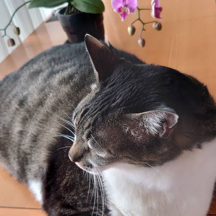 80b3c140 a7a7 4855 ae3a 15e640c76900 1648708232978