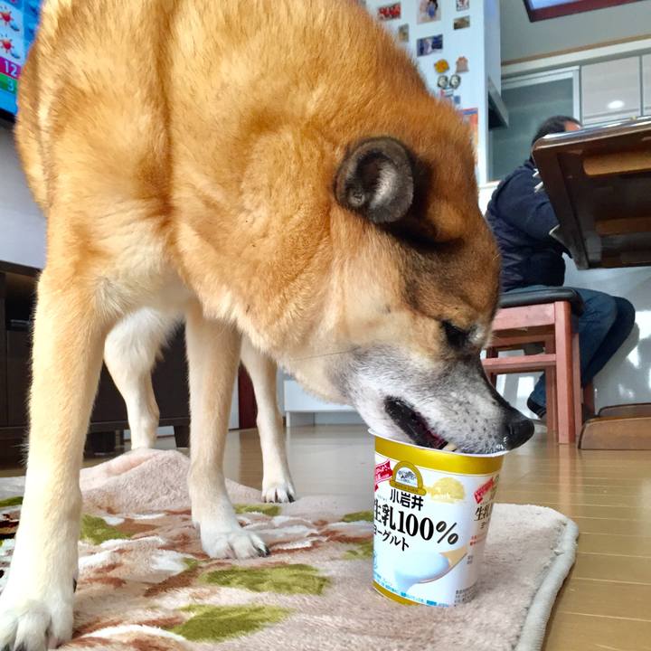 80b3cb92 47e1 4a55 97ae 8a85acaafada 1580432820607