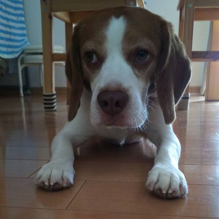 80b3d14f 371e 4b11 badf 7864074bc49b 1627874056950