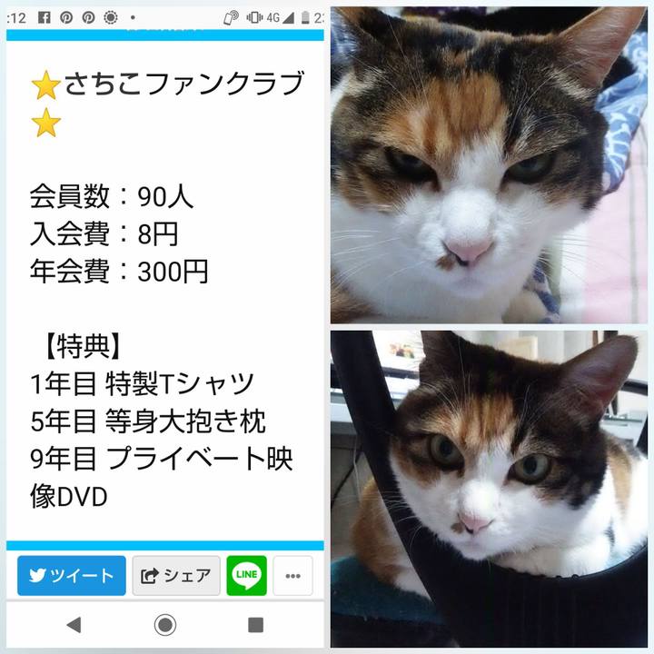 80b3ebe7 8d54 41d8 a633 c2d4a82f2025 1568384361683