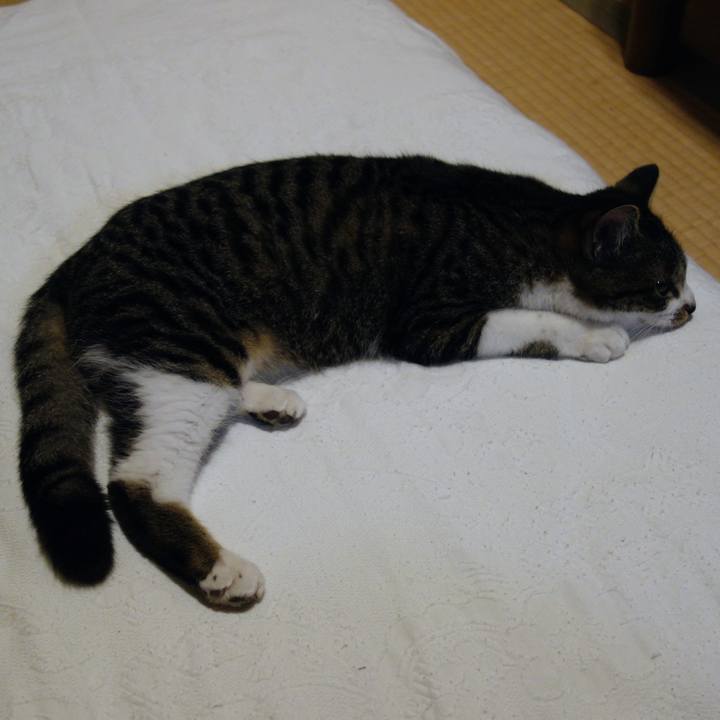 80b48baa 0be6 4485 b39d 1615d6cb7055 1758157619662