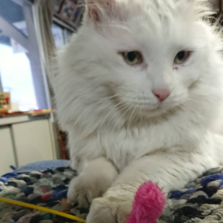 80b4a899 a6d9 4e89 ae80 aae587901514 1550617503599