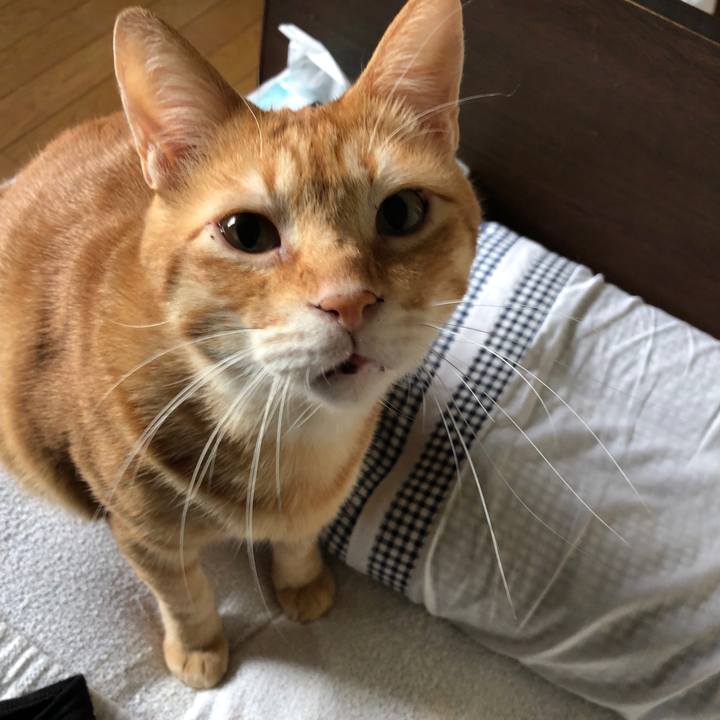 80b50288 03bb 4dcc 9d7d 7b033a2ac39a 1569729630071