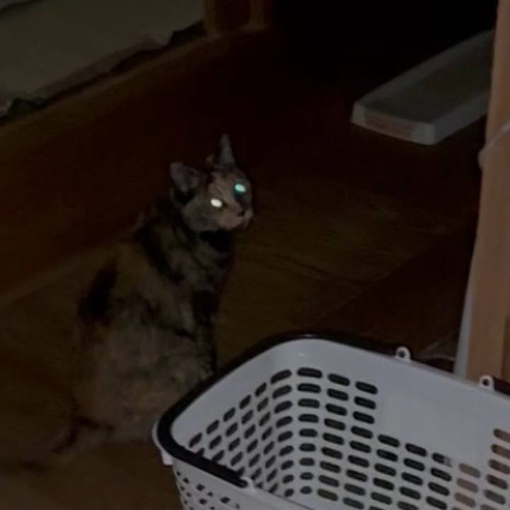 80b50de4 6894 41bf af46 64edffd1a03f 1752350834318