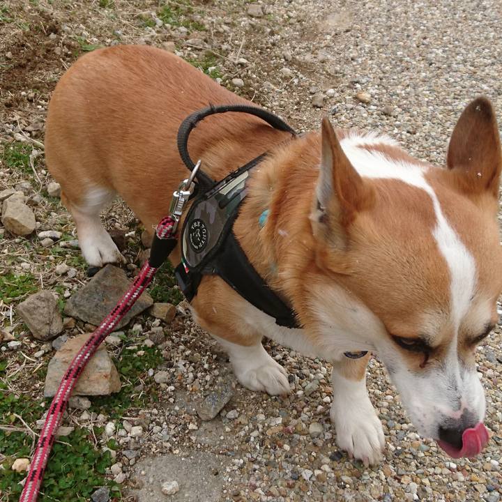 80b519e0 bcb6 4807 8978 8e8e3668120e 1645507560481