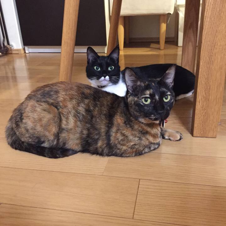 80b55214 7113 4cda 87e7 912b34dfcd21 1543416063548