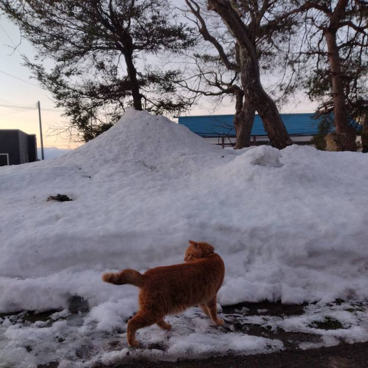 80b573b1 c286 4c0a 8e94 17387198caf0 1672179943920