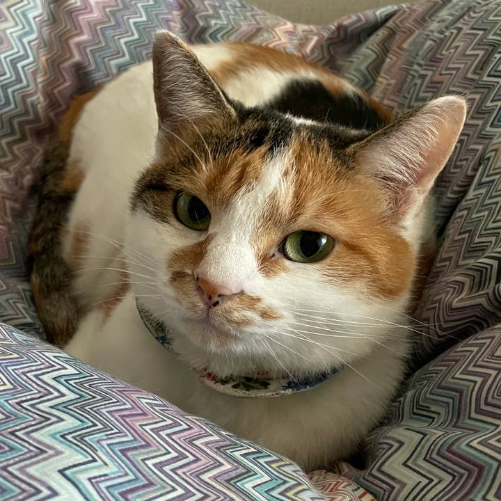 80b576d2 9470 4ed1 8e65 a1a71aacf216 1730431454684