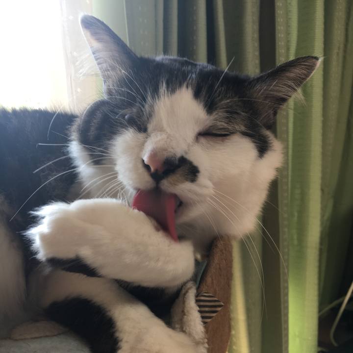 80b57a36 9da2 4d66 a944 301313a832e2 1550292392330