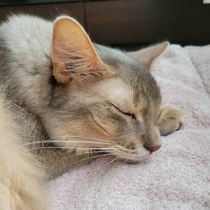 80b57d4b b241 43ff ac7d 28d6abc3f231 1632546121101