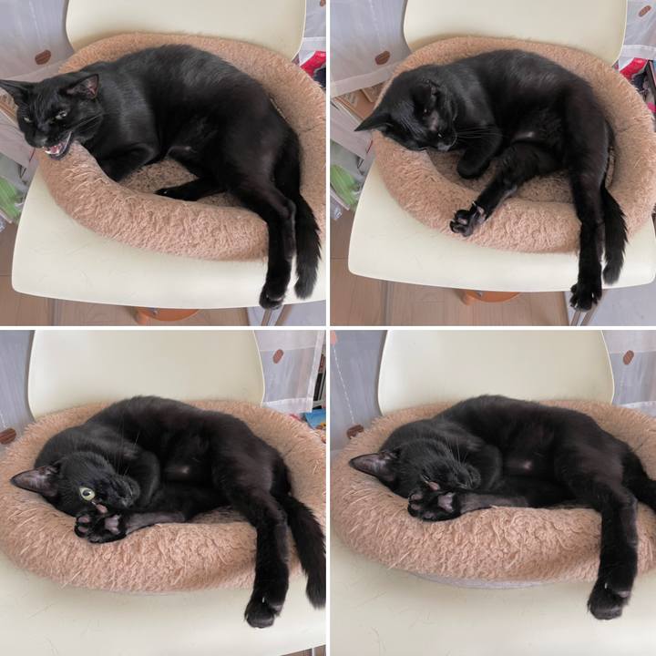 80b61b9c 1956 4123 bb13 4df5fa4e154d 1659320199391