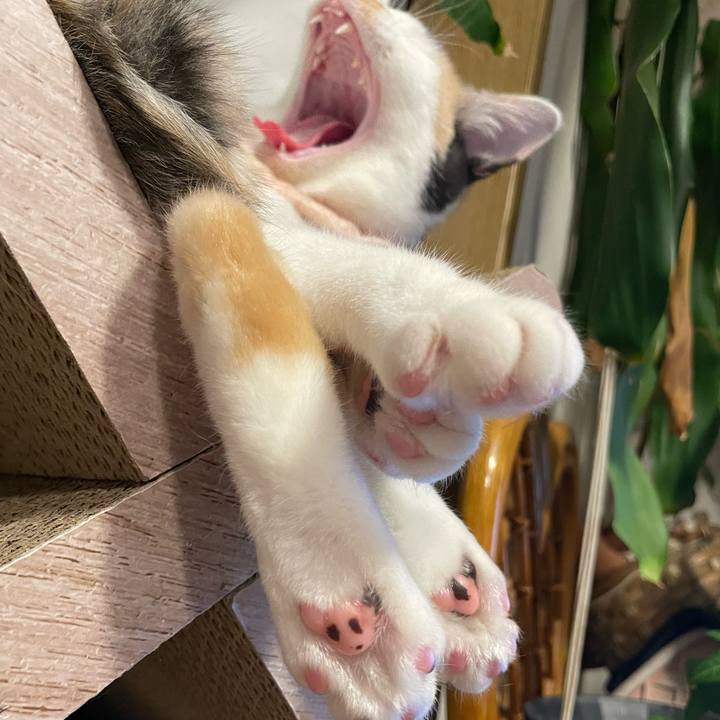 80b62907 7eda 493e b581 e6508aaa0a73 1669018942215