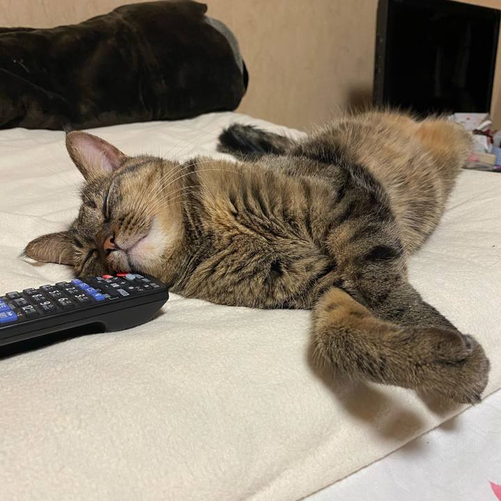 80b62db9 4d8a 4f16 8b07 a526f8cb25c1 1599388317977