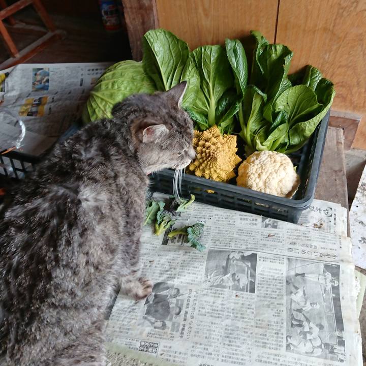 80b630d3 2d59 4991 b07f 2c321540a488 1578805398616