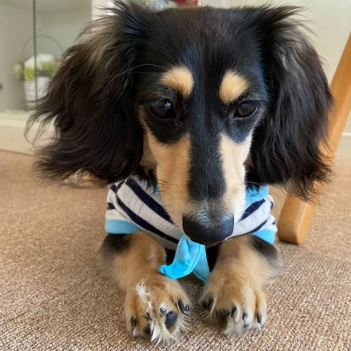 80b64aa7 58db 4c1f 8cf1 879494e0aef4 1679627569185